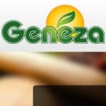 Geneza